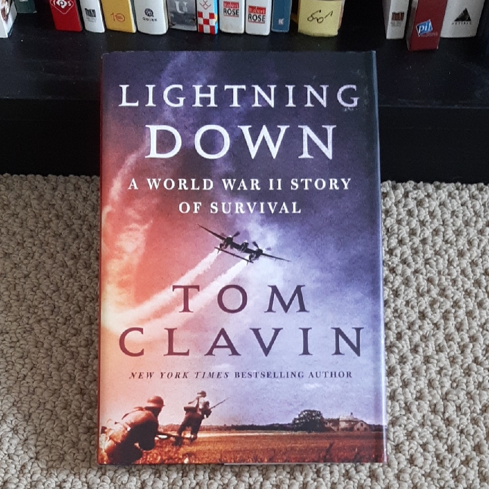 🌼5 For $25🌼 Lightning Down by Tom Clavin
